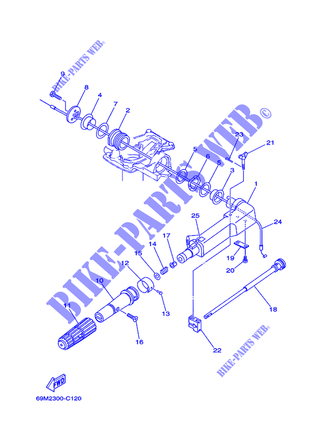 DIRECTION pour Yamaha F2.5M Manual Starter, Tiller Handle, Manual Tilt, Shaft 15