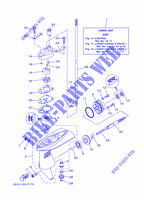 BOITIER D'HELICE ET TRANSMISSION 1 pour Yamaha F2.5B Manual Starter, Tiller Handle, Shaft 15