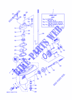 BOITIER D'HELICE ET TRANSMISSION 1 pour Yamaha F2.5B Manual Starter, Tiller Handle, Shaft 20