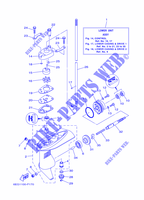 BOITIER D'HELICE ET TRANSMISSION 1 pour Yamaha F2.5B Manual Starter, Tiller Handle, Manual Tilt, Shaft 20