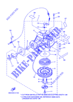 DEMARREUR pour Yamaha F4A Manual Starter, Tiller Handle, Manual Tilt, Shaft 15