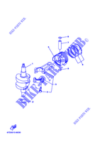 VILEBREQUIN / PISTON pour Yamaha F4A Manual Starter, Tiller Handle, Manual Tilt, Shaft 20