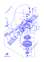 DEMARREUR pour Yamaha F4A 4 Stroke, Manual Starter, Tiller Handle, Manual Tilt de 2001