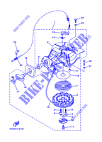 DEMARREUR pour Yamaha F4A 4 Stroke, Manual Starter, Tiller Handle, Manual Tilt de 2000