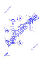 VILEBREQUIN / PISTON pour Yamaha F8C Manual Starter, Tiller Handle, Manual Tilt, Shaft 15