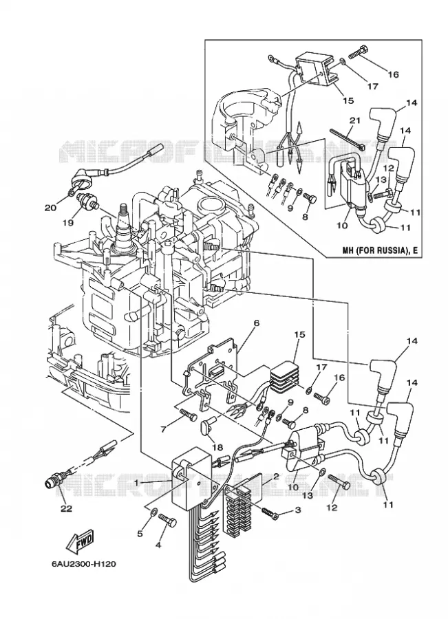 ELECTRIQUE 1 Yamaha OUTBOARD ENGINES 9.9hp (7.3kW) 2010 F9.9  F9.9FMHS