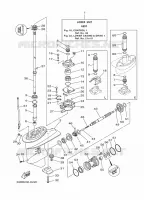 CARTER INFERIEUR ET TRANSMISSION 1 pour Yamaha E25B Enduro, Manual Starter, Tilller Handle, Manual Tilt, Pre-Mixing, Shaft 20