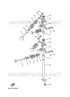 SOUPAPE pour Yamaha F20B Manual Starter, Tiller Handle, Manual Tilt, Shaft 15