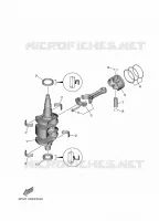 VILEBREQUIN / PISTON pour Yamaha F25G Manual & Electric Steering, Tiller Handle, Manual Tilt, Shaft 20