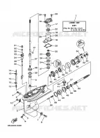 CARTER INFERIEUR ET TRANSMISSION 1 pour Yamaha FT25B High Thrust, Electric Starter, Remote Control, Power Trim & Tilt, Shaft 20