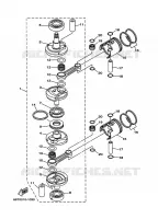 VILEBREQUIN / PISTON pour Yamaha 40X Manual Starter, Tiller Handle, Manual Tilt, Pre-Mixing, Shaft 20