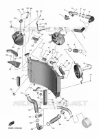 RADIATEUR / DURITES pour Yamaha YZF-R6 de 2020