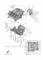 CARTER MOTEUR pour Yamaha XSR 900 A2 35KW de 2023