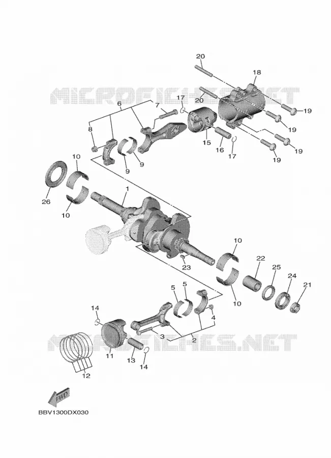 VILEBREQUIN / PISTON Yamaha SCOOTER 560 2023 TMAX  XP560D