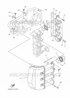 ADMISSION pour Yamaha F100BETL de 2020