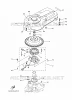 ALLUMAGE pour Yamaha F100BETL de 2020