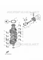 VILEBREQUIN / PISTON pour Yamaha F100FETL de 2020