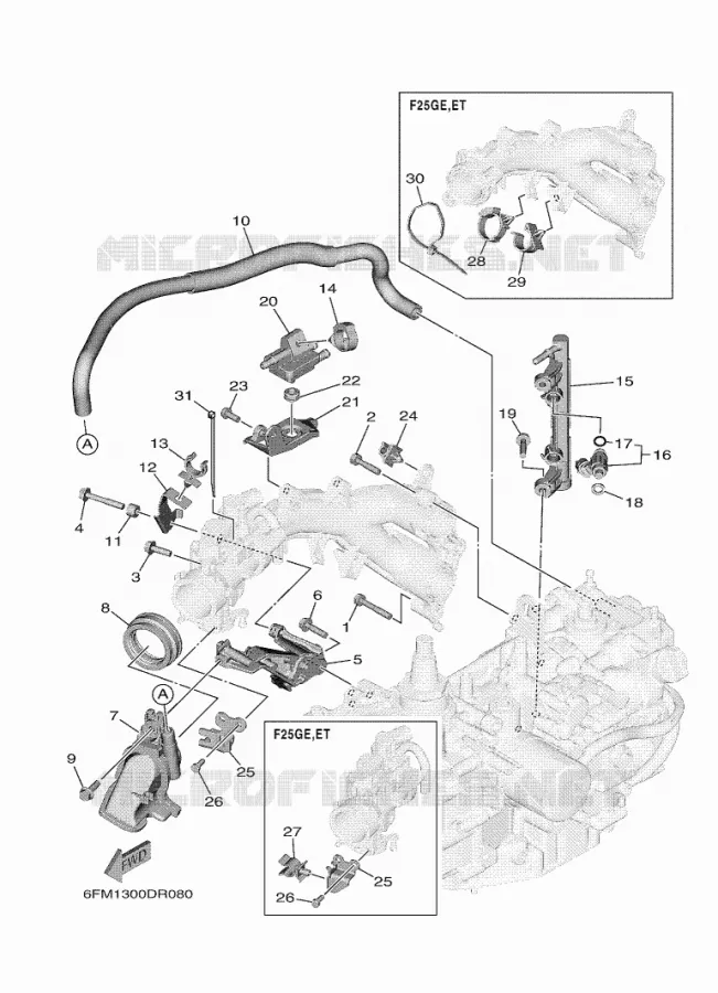 ADMISSION 2 Yamaha OUTBOARD ENGINES 25hp (18.4kW) 2021 F25  F25GMH