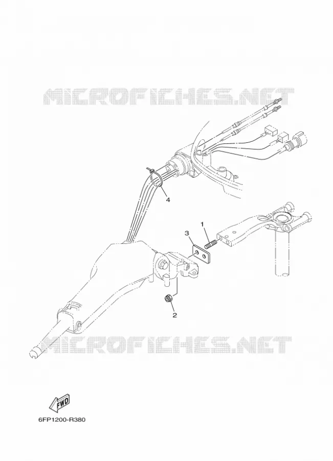 PIÈCES OPTIONNELLES 3 Yamaha OUTBOARD ENGINES 80hp (55.2kW) 2021 F80  F80B / F80DET
