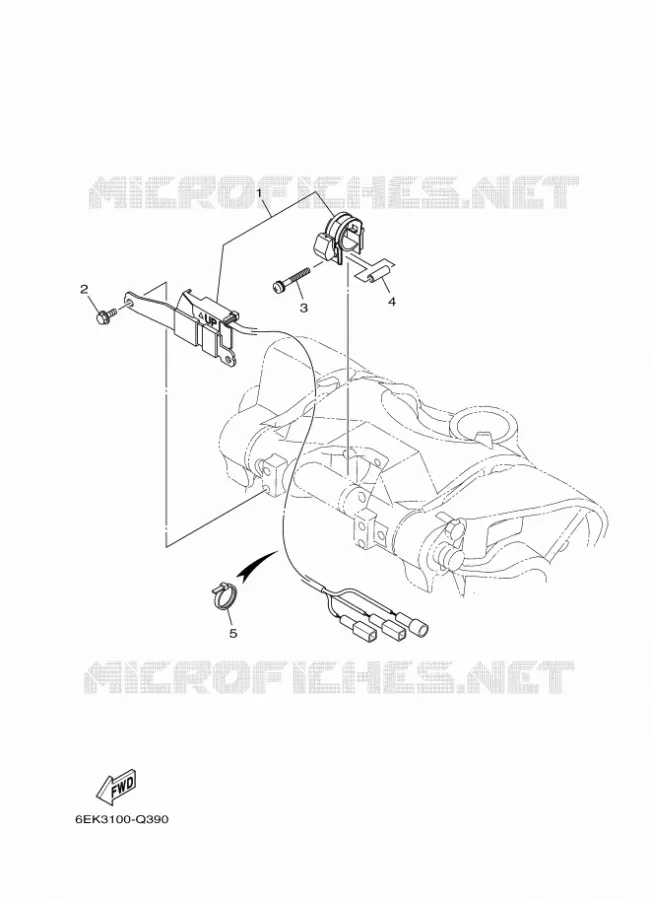 PIÈCES OPTIONNELLES 5 Yamaha OUTBOARD ENGINES 80hp (55.2kW) 2021 F80  F80B / F80DET