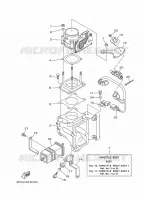 BOITIER PAPILLON INJECTION pour Yamaha FL200BETX de 2021