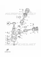 VILEBREQUIN / PISTON pour Yamaha FL200BETX de 2021