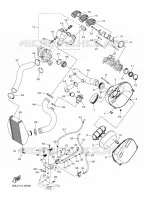 ADMISSION pour Yamaha SIDEWINDER L-TX LE EPS de 2024