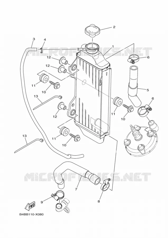 RADIATEUR / DURITES Yamaha MOTO 85 2024 YZ  YZ85LWR