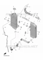 RADIATEUR / DURITES pour Yamaha YZ 250 F de 2022