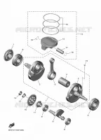 VILEBREQUIN / PISTON pour Yamaha YZ 450 F de 2025
