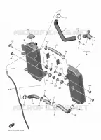 RADIATEUR / DURITES pour Yamaha YZ 450 F de 2025