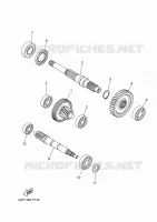 TRANSMISSION pour Yamaha XMAX 125 de 2025