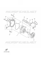 POMPE A EAU / DURITES pour Yamaha TDM850N de 2001
