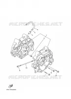 CARTER MOTEUR pour Yamaha TTR50E de 2009