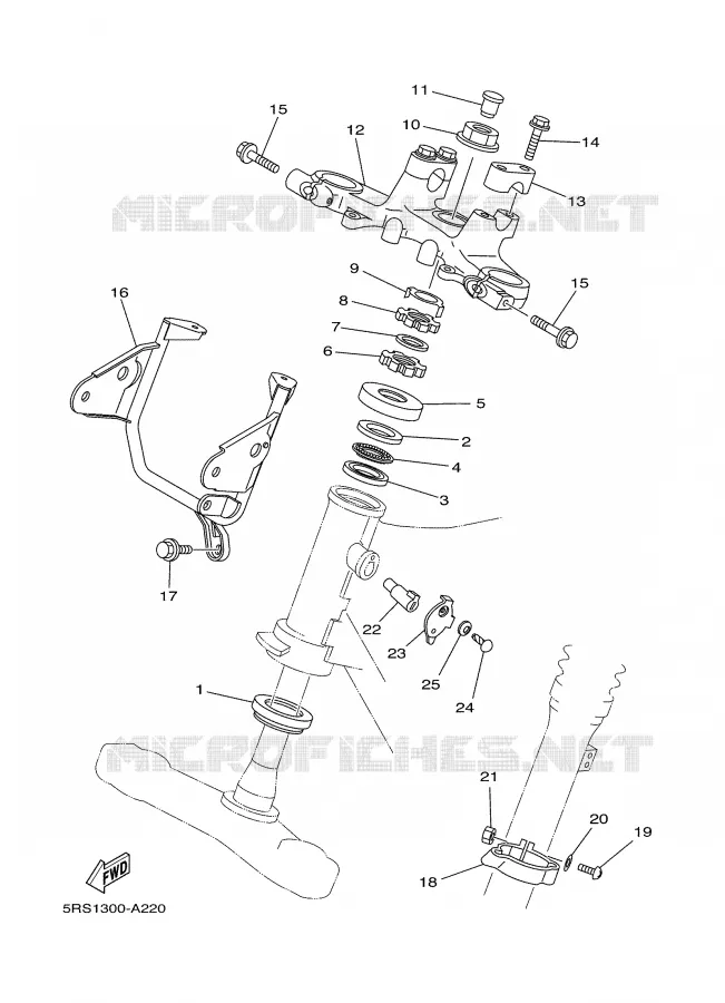 DIRECTION Yamaha MOTO 125 2004 TW  TW125