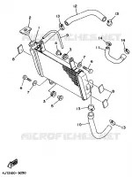 RADIATEUR / DURITES pour Yamaha TZ125 de 1998