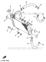 RADIATEUR / DURITES pour Yamaha TZ125 de 1998