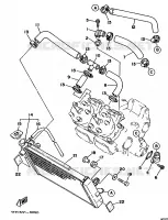 RADIATEUR / DURITES pour Yamaha TZ250 de 1990