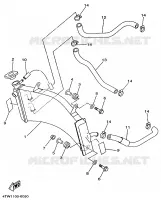 RADIATEUR / DURITES pour Yamaha TZ250 de 1997