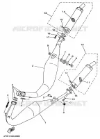 ECHAPPEMENT pour Yamaha TZ250 de 1998
