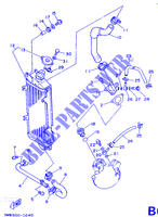 RADIATEUR / DURITES pour Yamaha DT125R de 1990