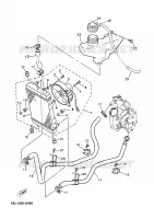 RADIATEUR / DURITES pour Yamaha YP125E de 2005
