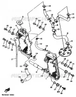 RADIATEUR / DURITES pour Yamaha YZ250 de 1995