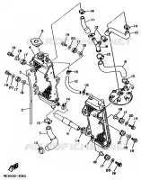 RADIATEUR / DURITES pour Yamaha YZ250LC de 1995