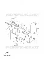 RADIATEUR / DURITES pour Yamaha YZ250N de 2001