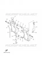 RADIATEUR / DURITES pour Yamaha YZ250N de 2001