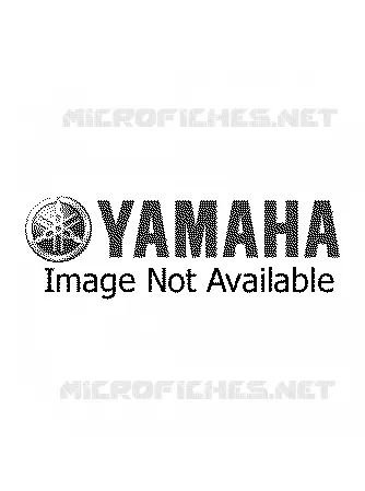 PIÈCES OPTIONNELLES 1 Yamaha MOTO 80 1999 YZ  YZ80L