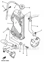 RADIATEUR / DURITES pour Yamaha YZ80LC de 1997