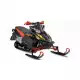 1000 2009 APEX RX10RS