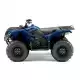 450 2010 GRIZZLY YFM450FWAN